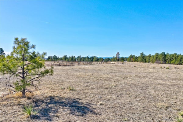 MEADOW TRL, FRANKTOWN, CO 80116 - Image 2bfb6dfe39b20d76c44cb520738c215d/946770497