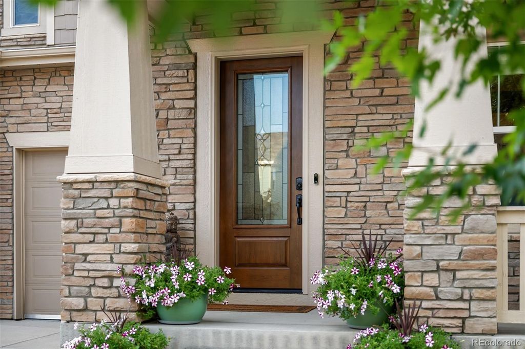 Photo of 908 Dinosaur Drive, Erie, CO 80516 (MLS # 2644994)