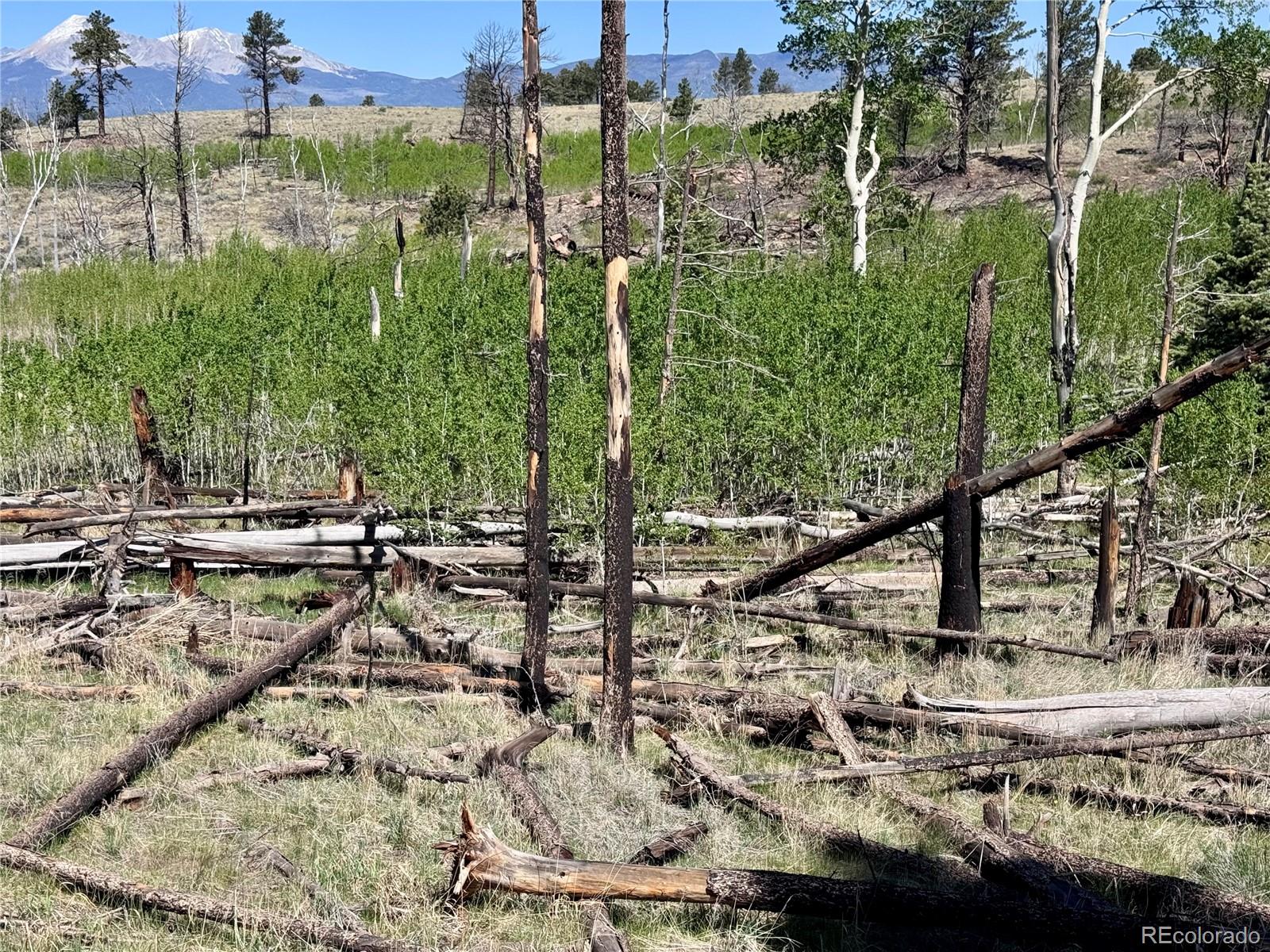 Lot 1102 Emery Loop