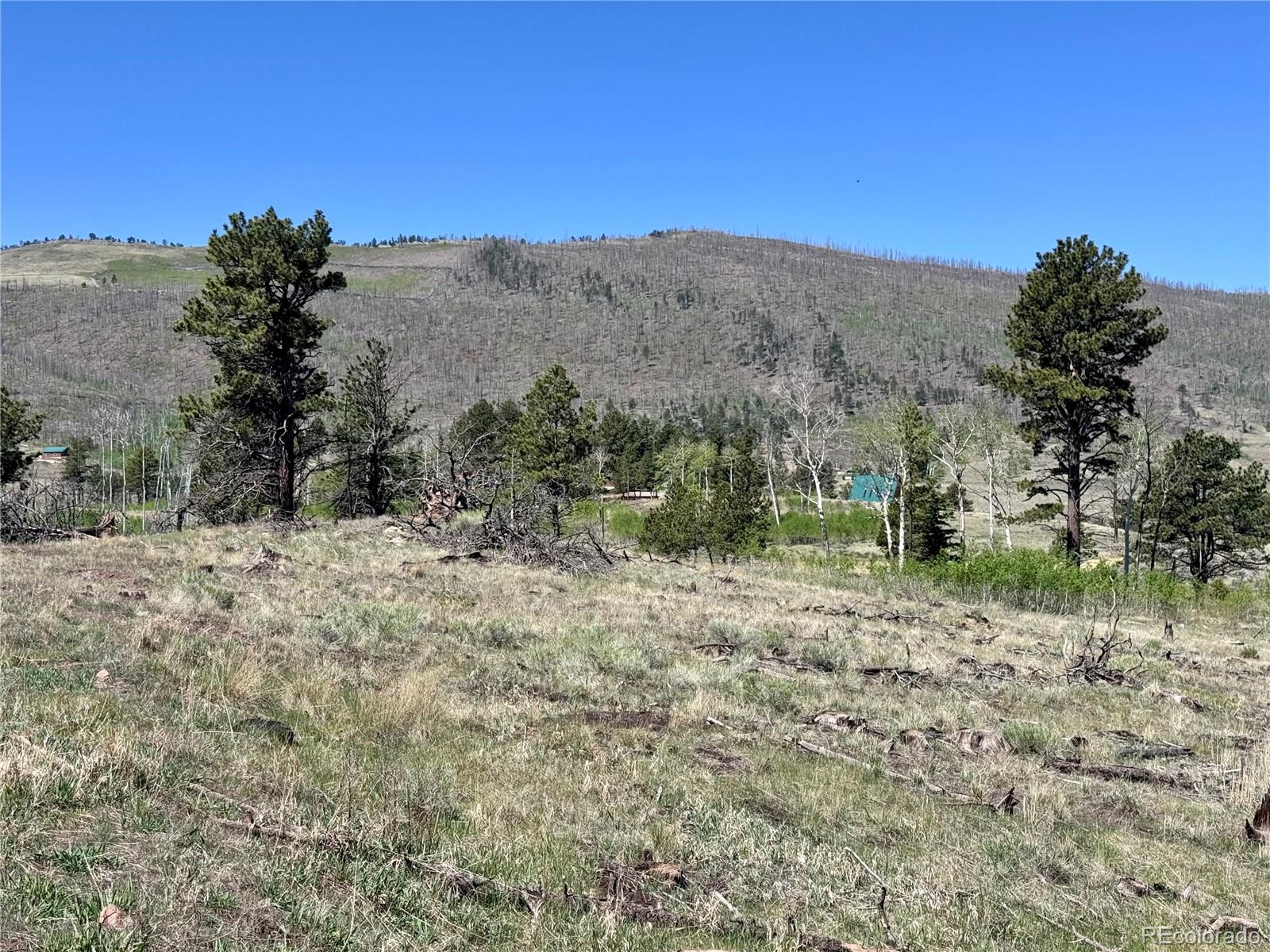 Lot 1102 Emery Loop