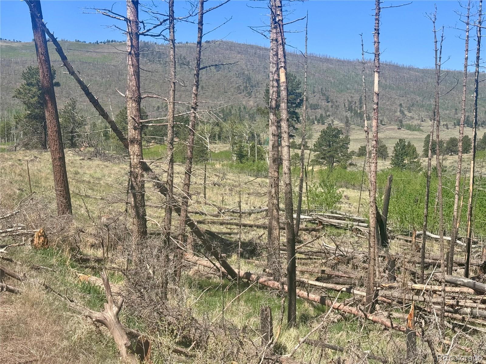 Lot 1102 Emery Loop