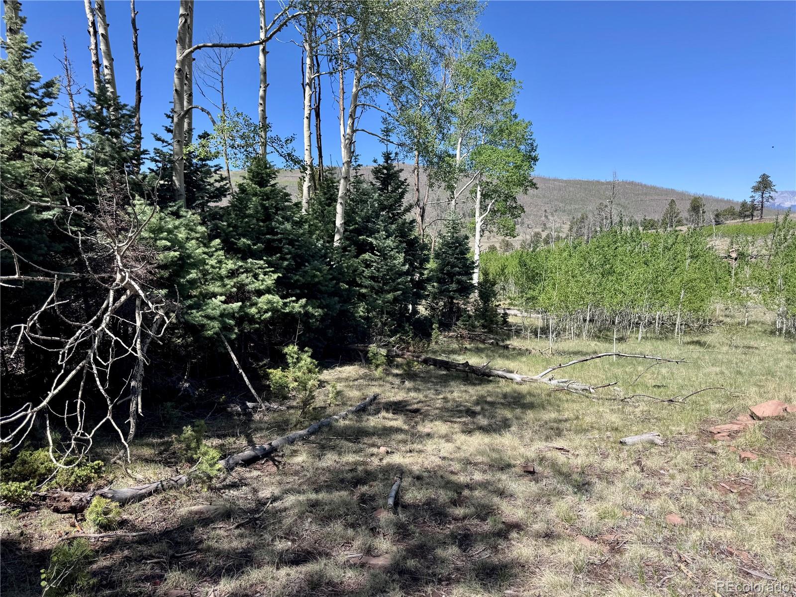 Lot 1102 Emery Loop