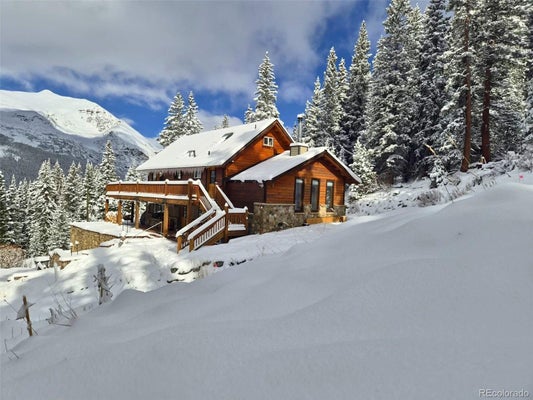232 GOLDFINCH PL, ALMA, CO 80420 - Image 2c30a8a6de54d0d9a2b03b7987f17355/3256234144