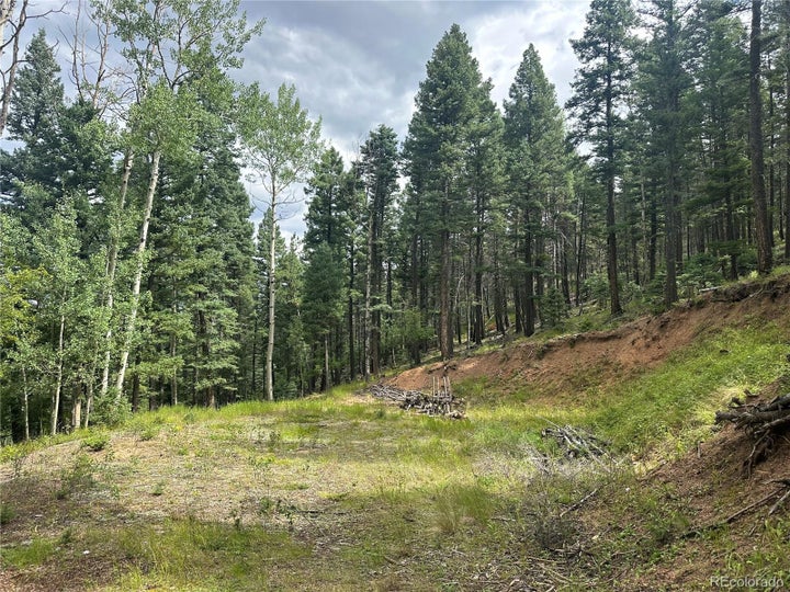 Build site