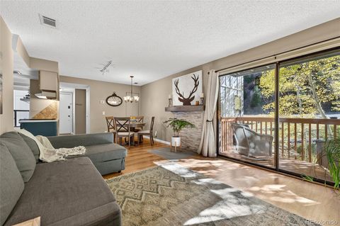 1901 Clear Creek Drive B204 Georgetown CO 80444