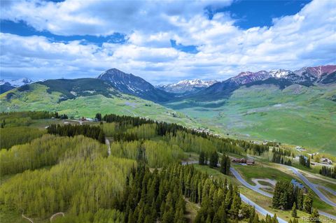 726 Prospect Drive, Mt Crested Butte, CO 81225 - #: 9359175