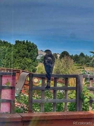 15975 Longford Drive