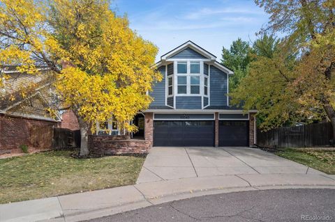 10040 Poudre Court Lone Tree CO 80124
