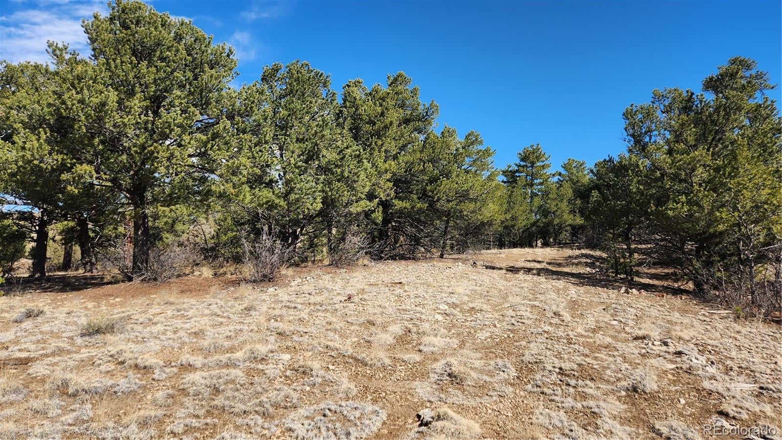 Photo 1 of 30 — TBD L I Path, Cotopaxi, CO 81223