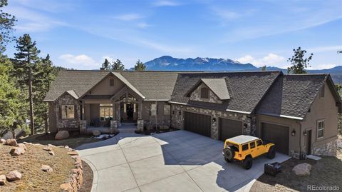Photo of 321 Thunder Ridge Drive, Woodland Park, CO 80863 (MLS # 7832862)