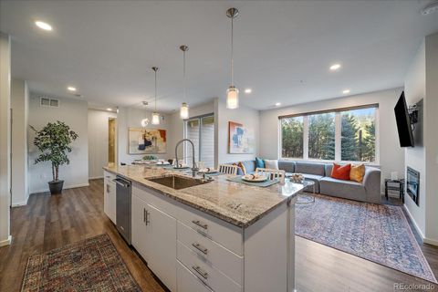 31131 Black Eagle Drive 101 Evergreen CO 80439