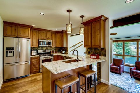 68 Golf Course Drive 11 Copper Mountain CO 80443