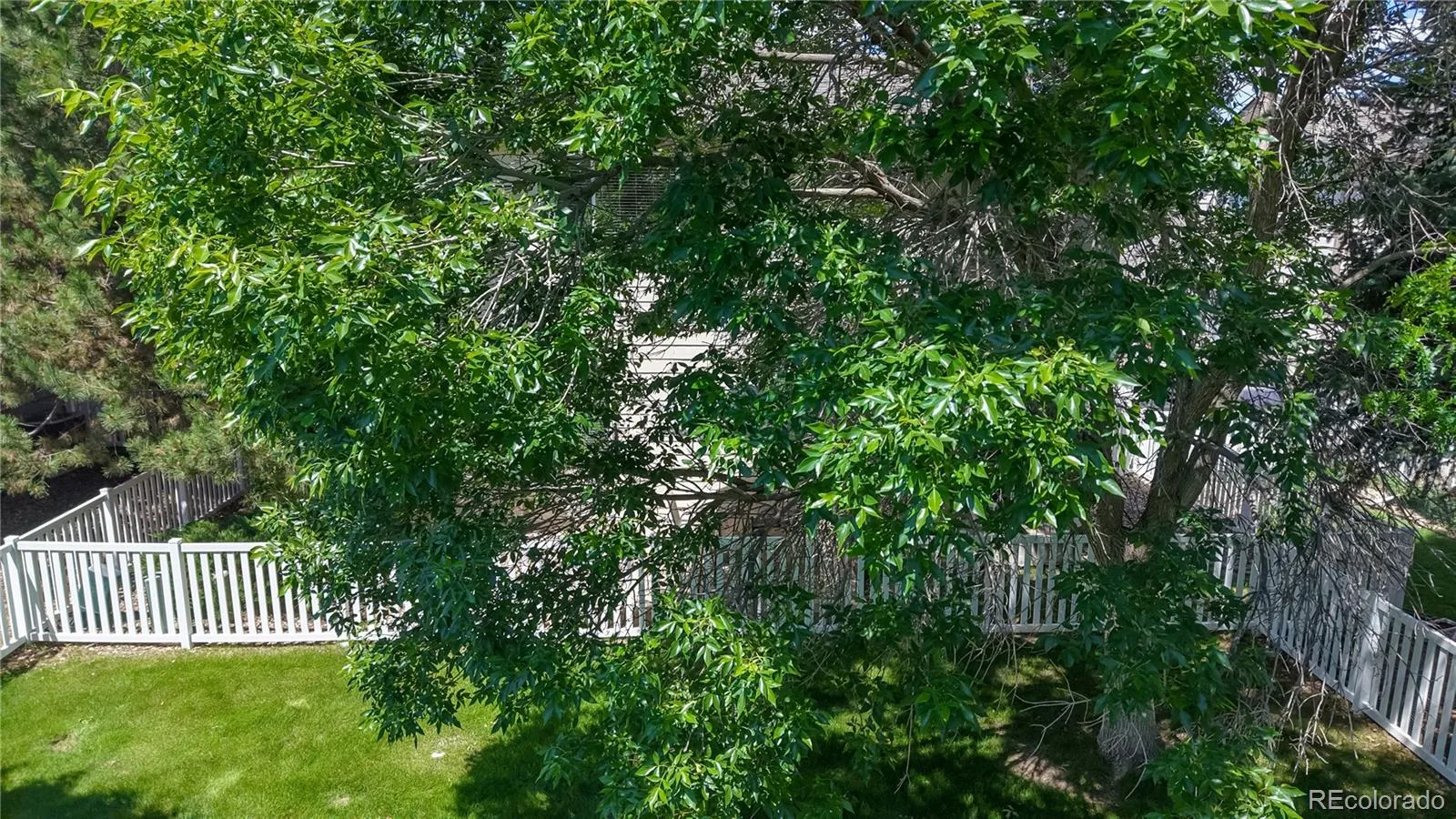 Thornton, Colorado 80233, United States, 3 Bedrooms Bedrooms, ,3 BathroomsBathrooms,Residential,Active,158476