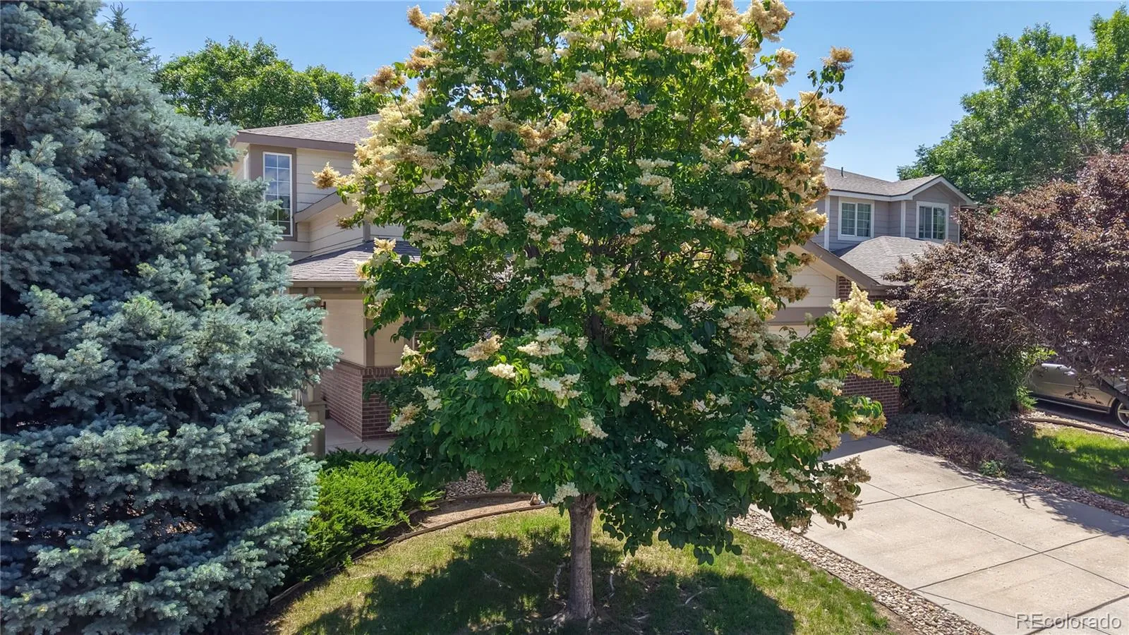 Thornton, Colorado 80233, United States, 3 Bedrooms Bedrooms, ,3 BathroomsBathrooms,Residential,Active,158476