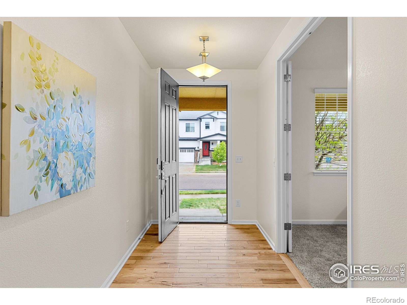 687 Jarvis Drive, Erie, CO, 80516 1 687 Jarvis Drive