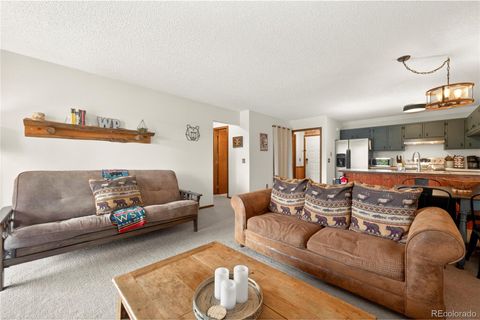 80 County Road 8500 C201 Fraser CO 80442