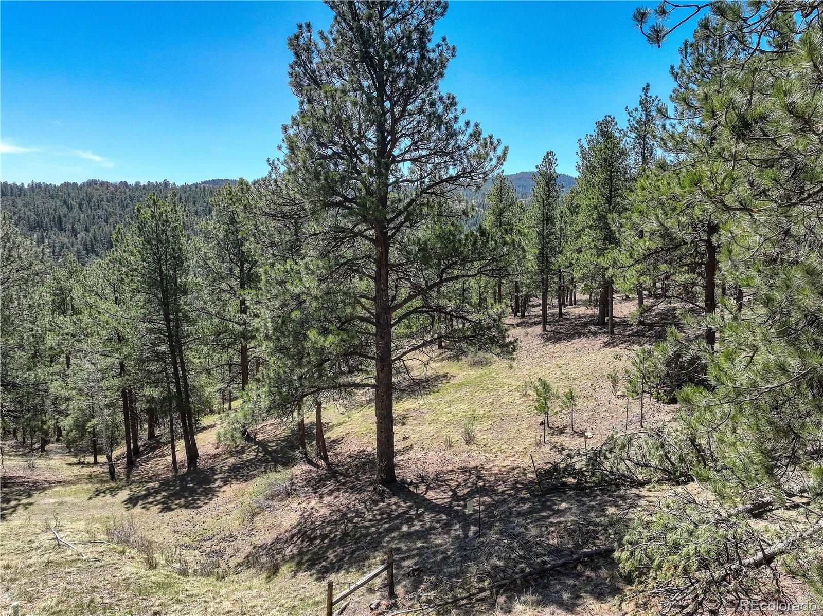 000 Hayden Ridge Road