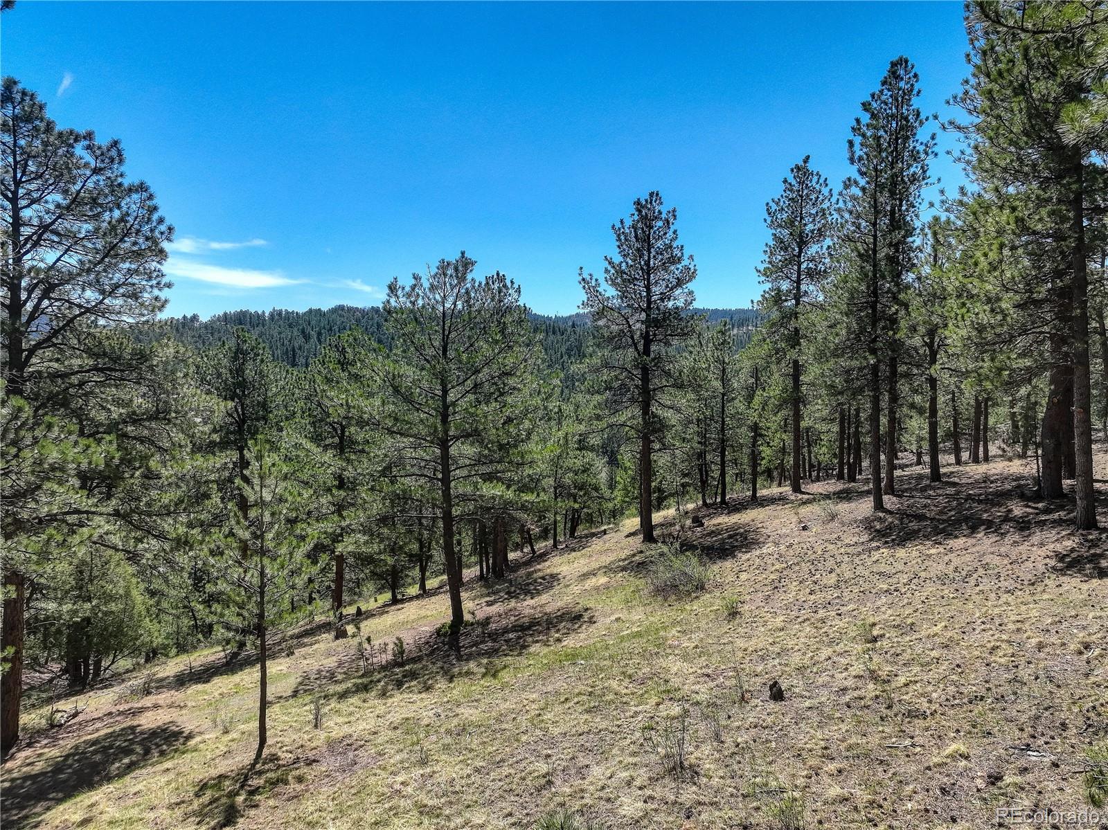 000 Hayden Ridge Road