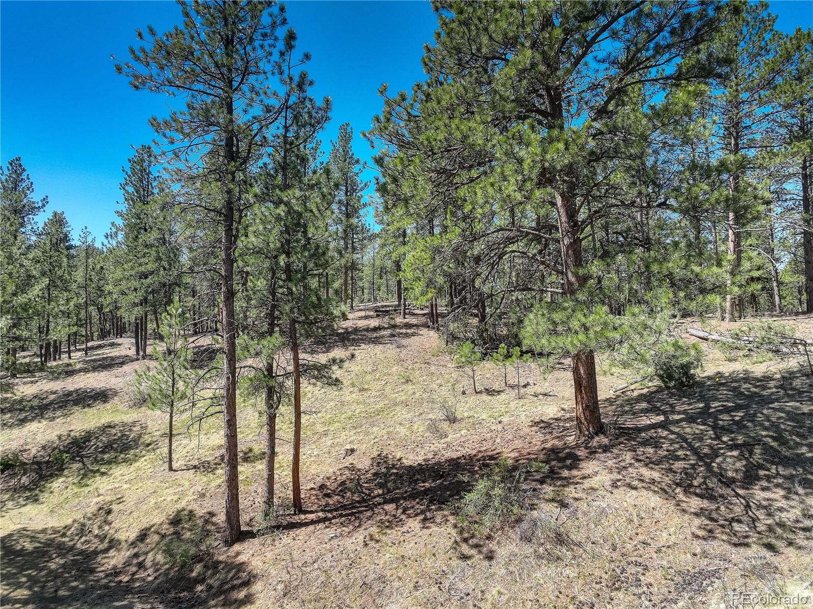 000 Hayden Ridge Road