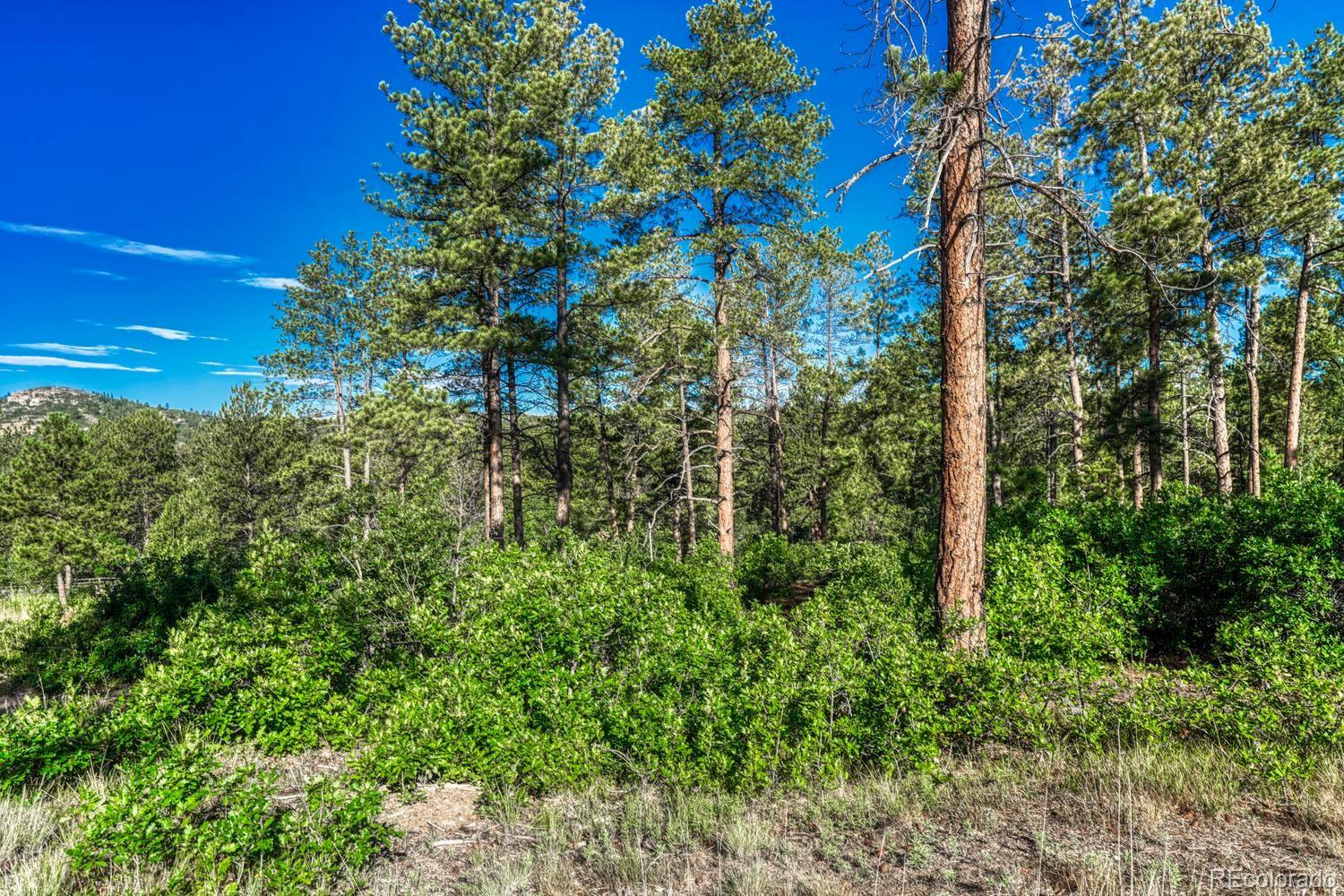 1205 Wildcat Bend Court