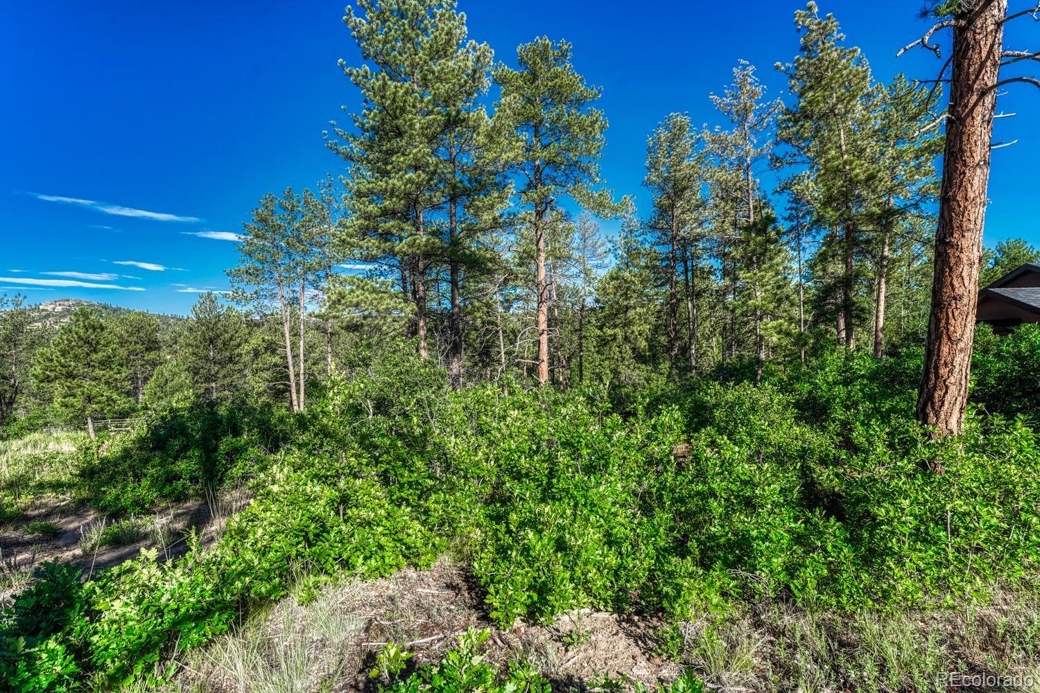 1205 Wildcat Bend Court