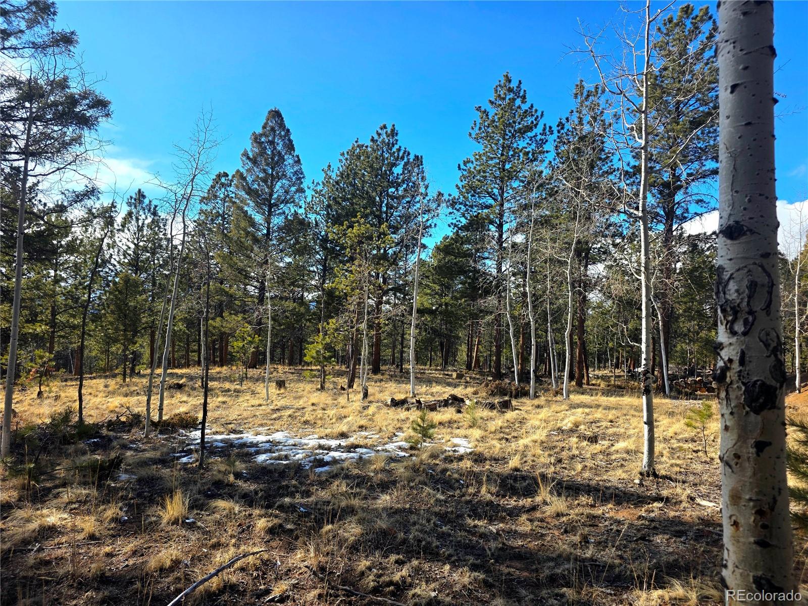 2063 Vagabond Creek Drive