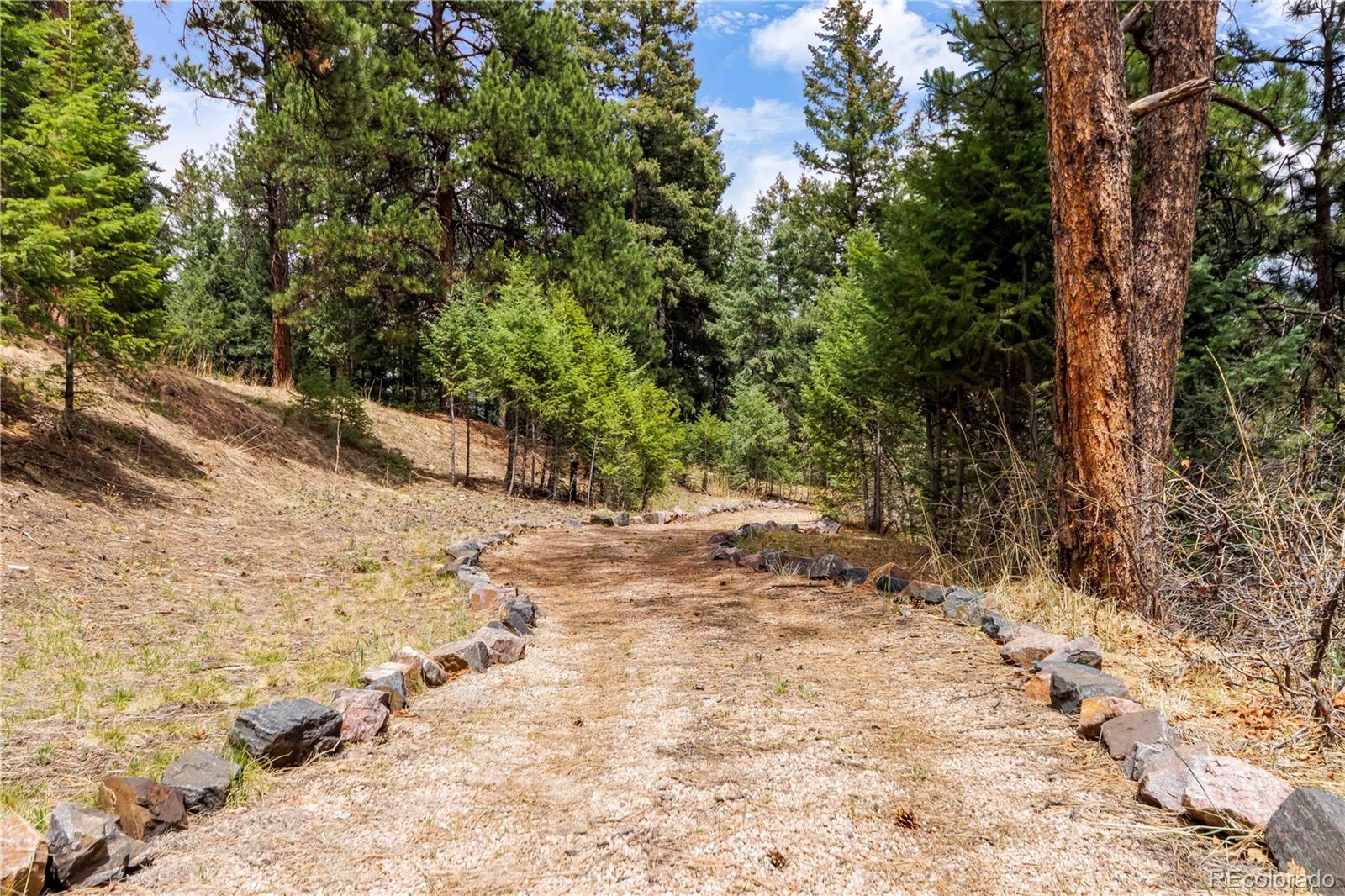 7008 Bluff Trail