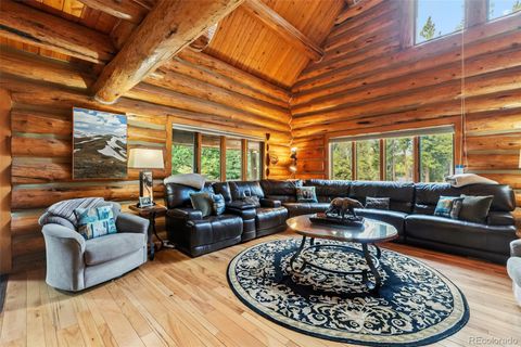 46 Indiana Creek Road Breckenridge CO 80424