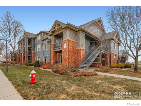 804 Summer Hawk Drive 3208 Longmont CO 80504