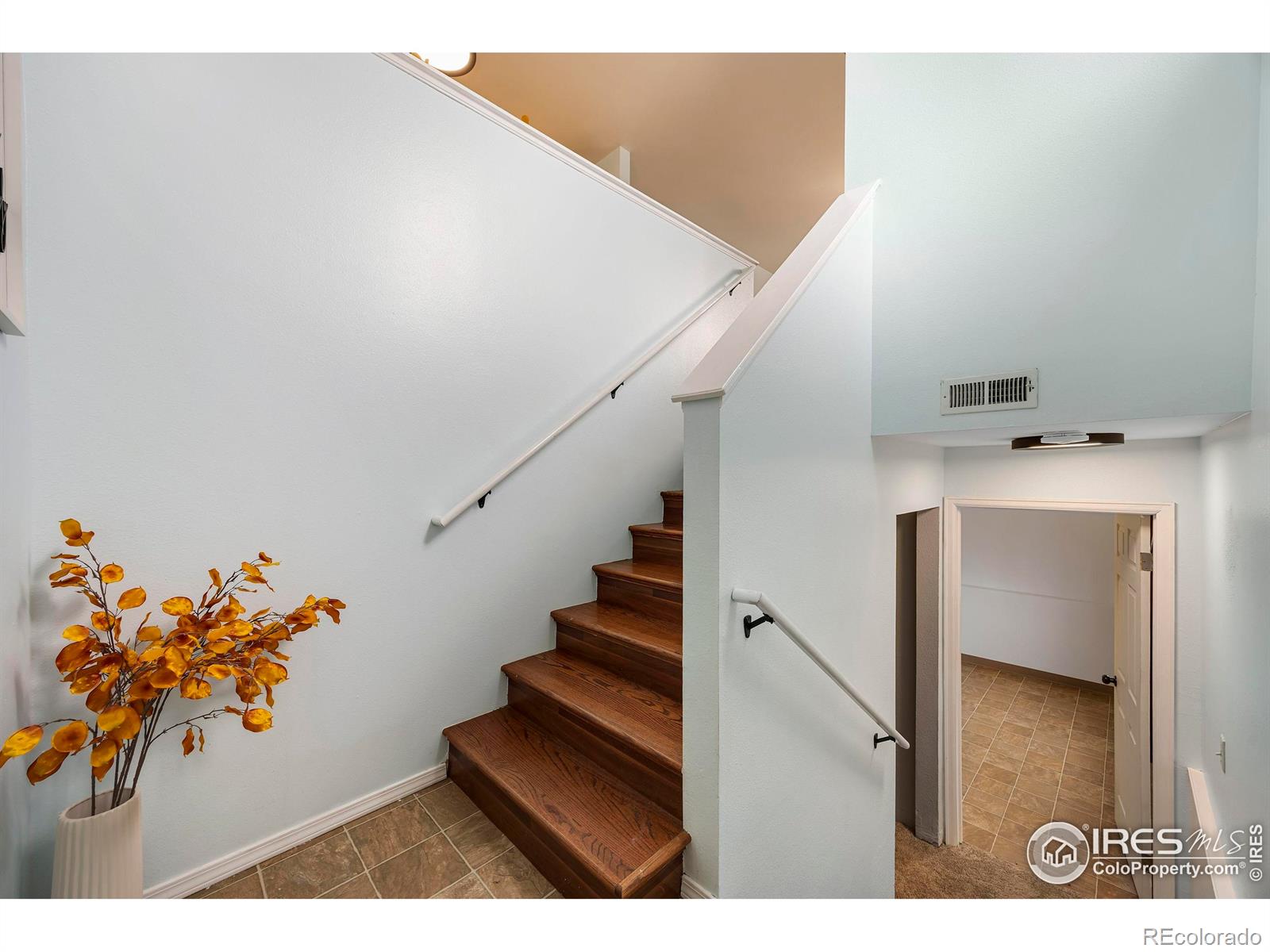 1206 Moore Drive