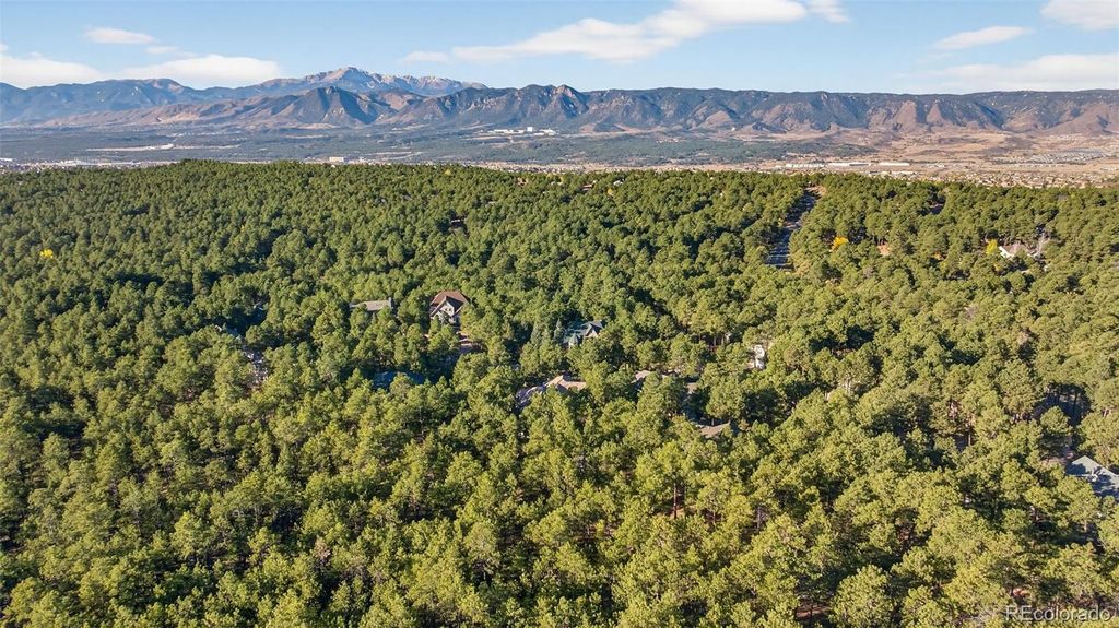 Photo of 15765 Pineycove Court, Colorado Springs, CO 80921 (MLS # 8958588)