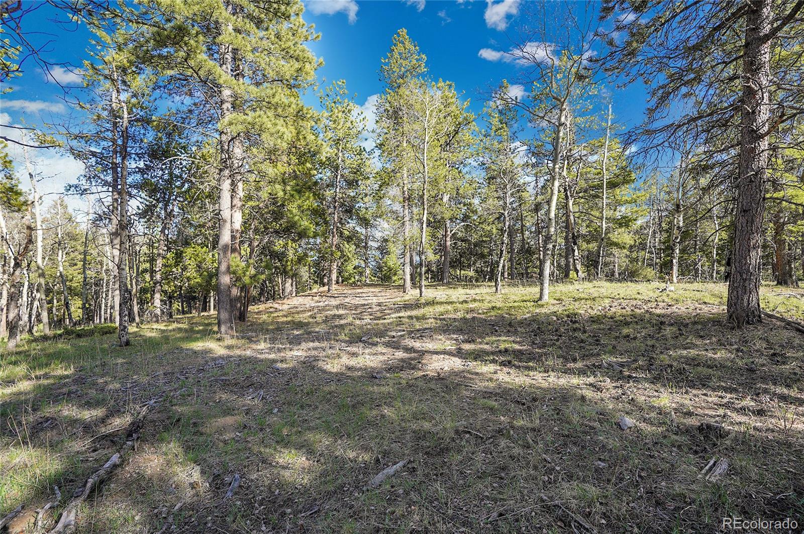 Molly Dr, Lot #3