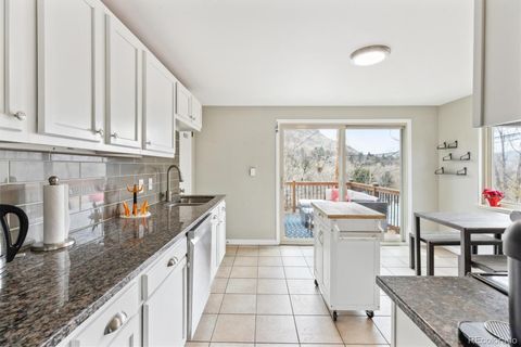 217 Ford Street Golden CO 80403
