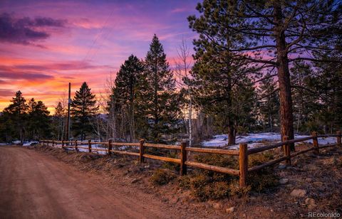 815 Cougar Run Nederland CO 80466