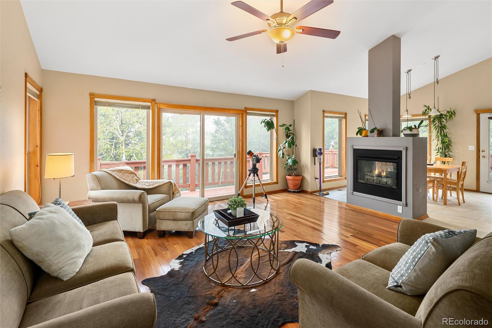 11163 Conifer Mountain Road