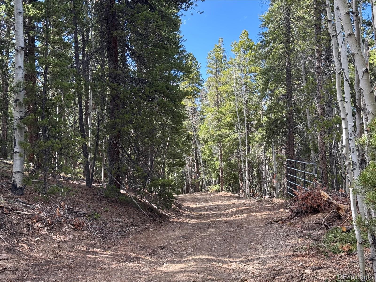 004 Pewabic Mine Road