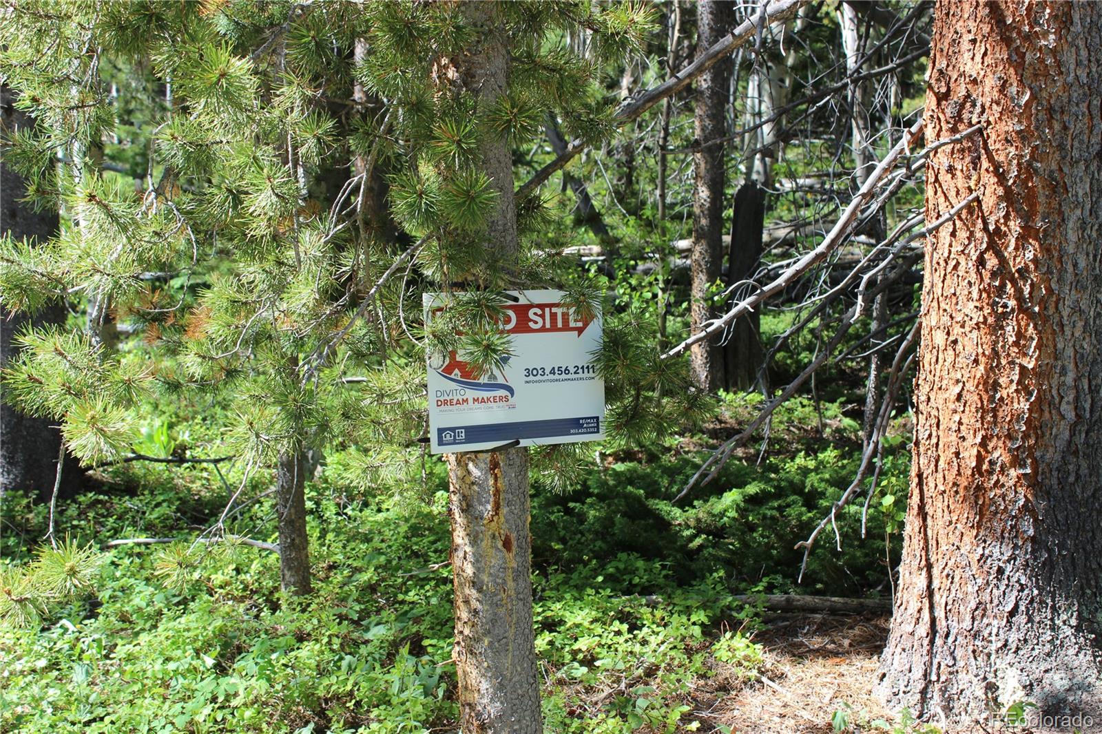 4 Roosevelt Ridge