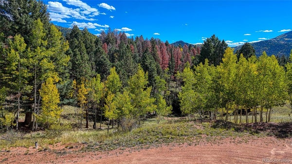 136 GOLD CROWN CIR, CRIPPLE CREEK, CO 80813 - Image 2eb40eb14ed7a658cb19fbdb8fdf9ca9/2746355546