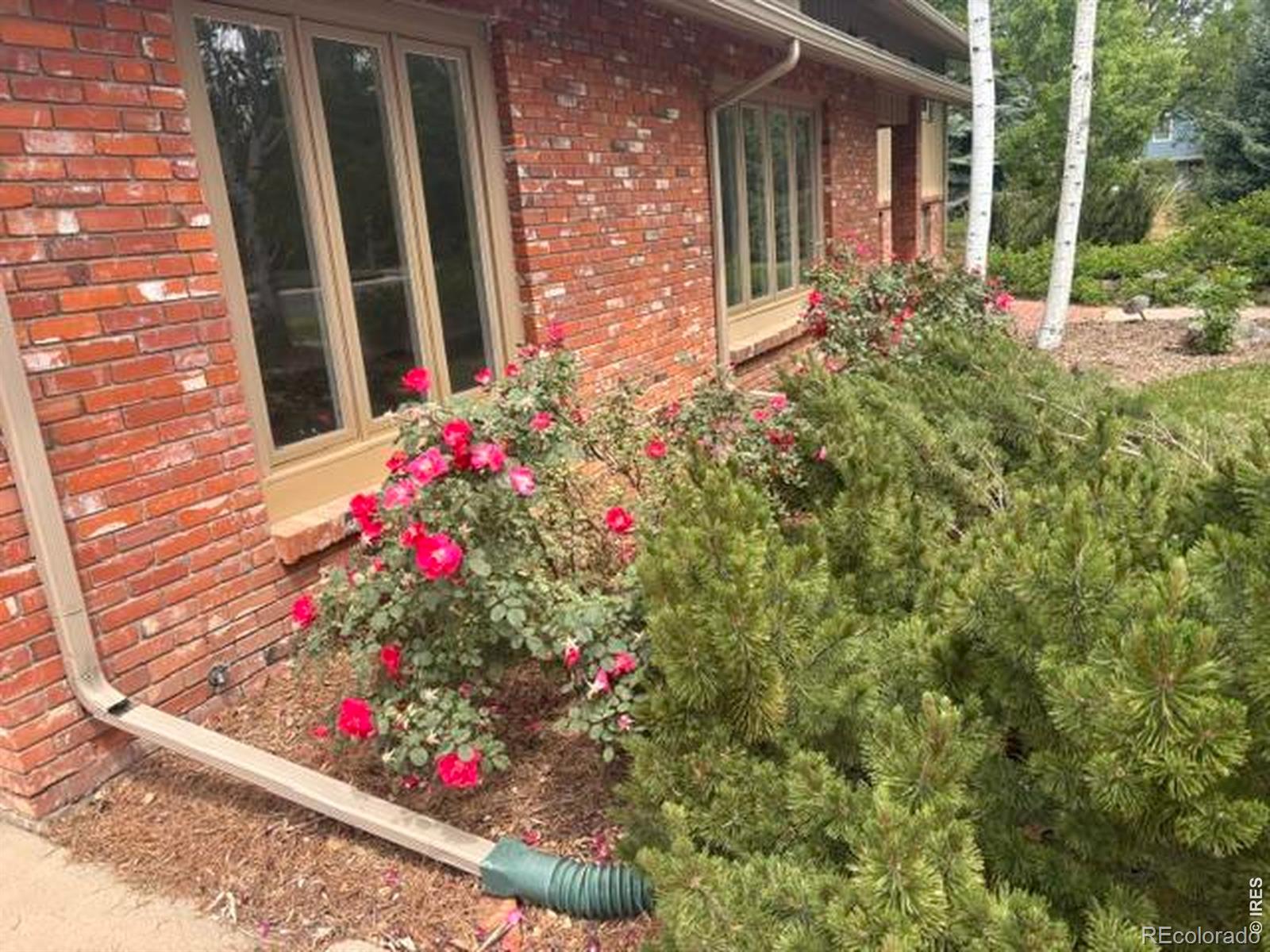 1409 Meeker Drive