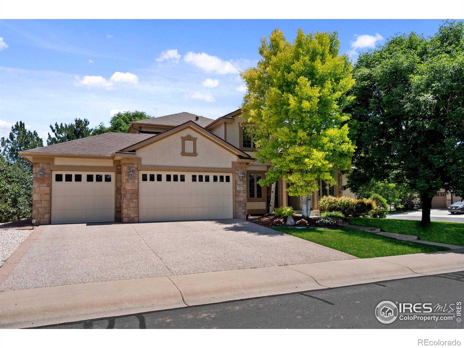 1591 Landon Court
