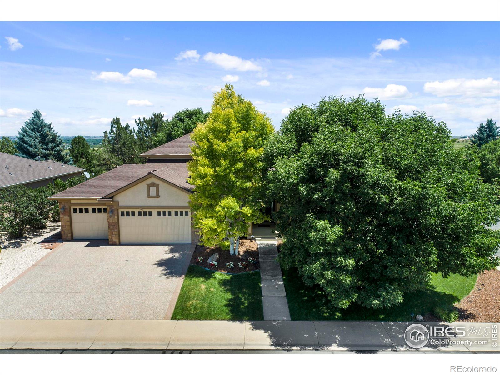 1591 Landon Court