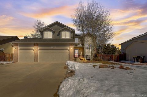 17216 Buffalo Valley Path, Monument, CO 80132 - MLS#: 4464979