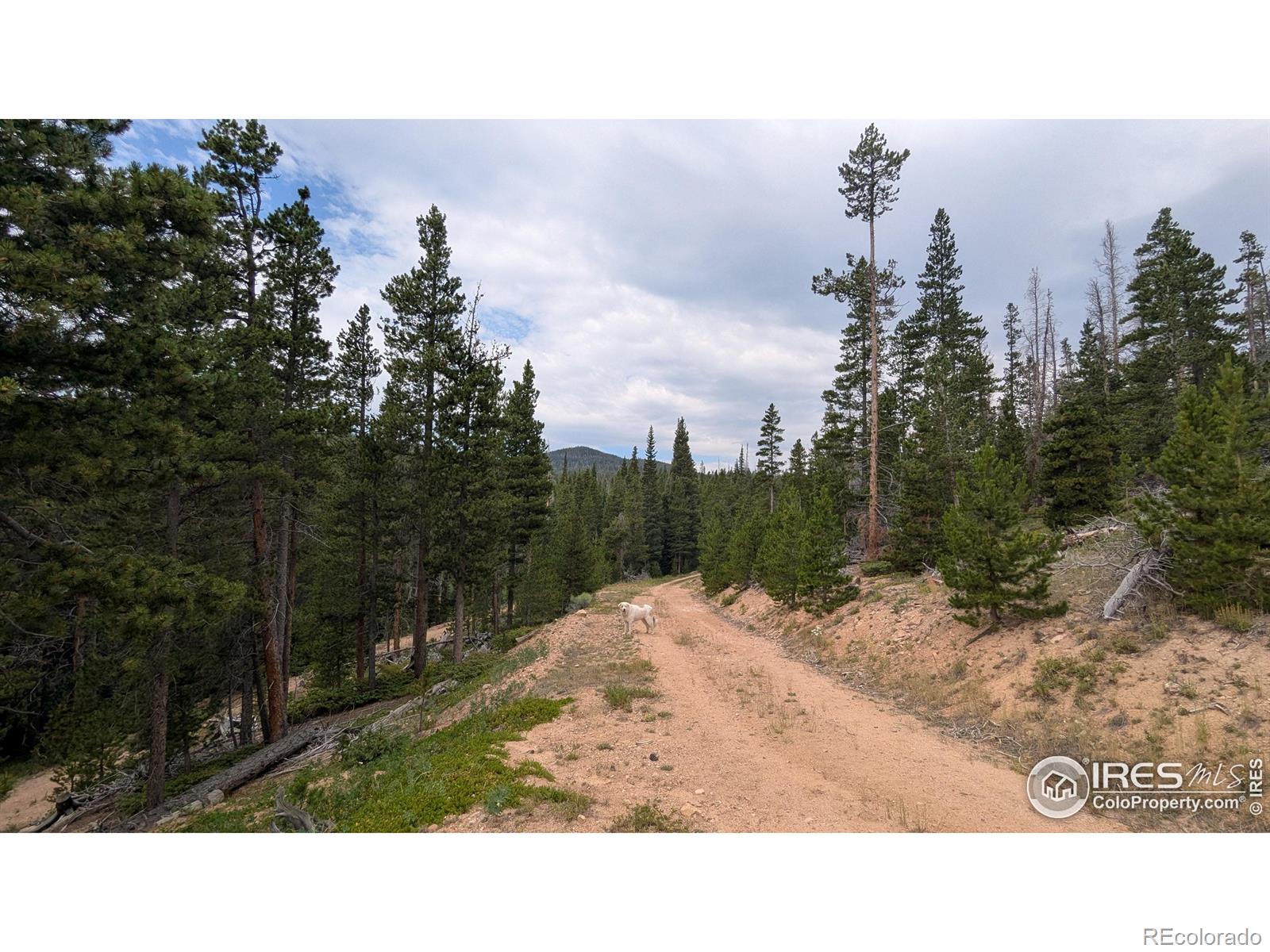 11 Pearl Creek Road