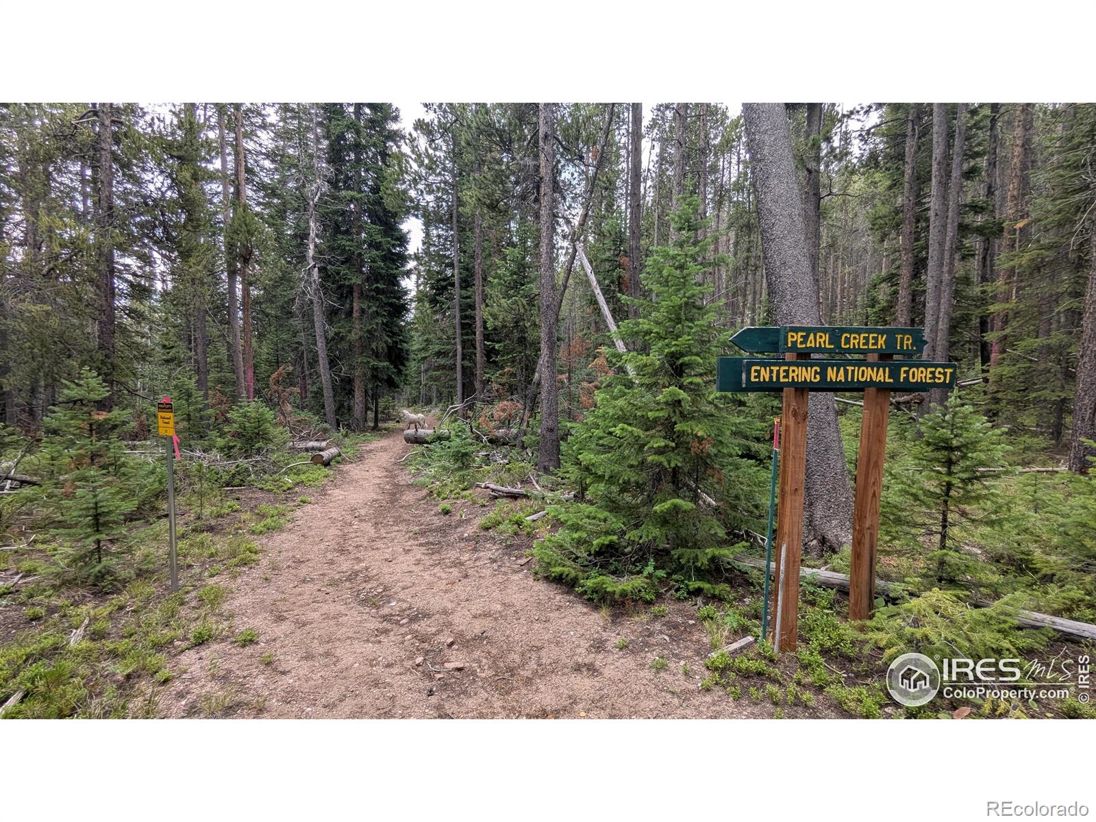 11 Pearl Creek Road