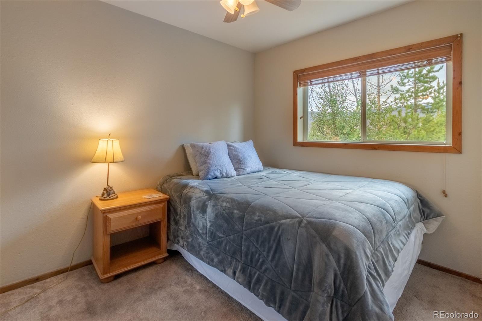 1239 GCR 49, Grand Lake, CO, 80447 10 1239 GCR 49