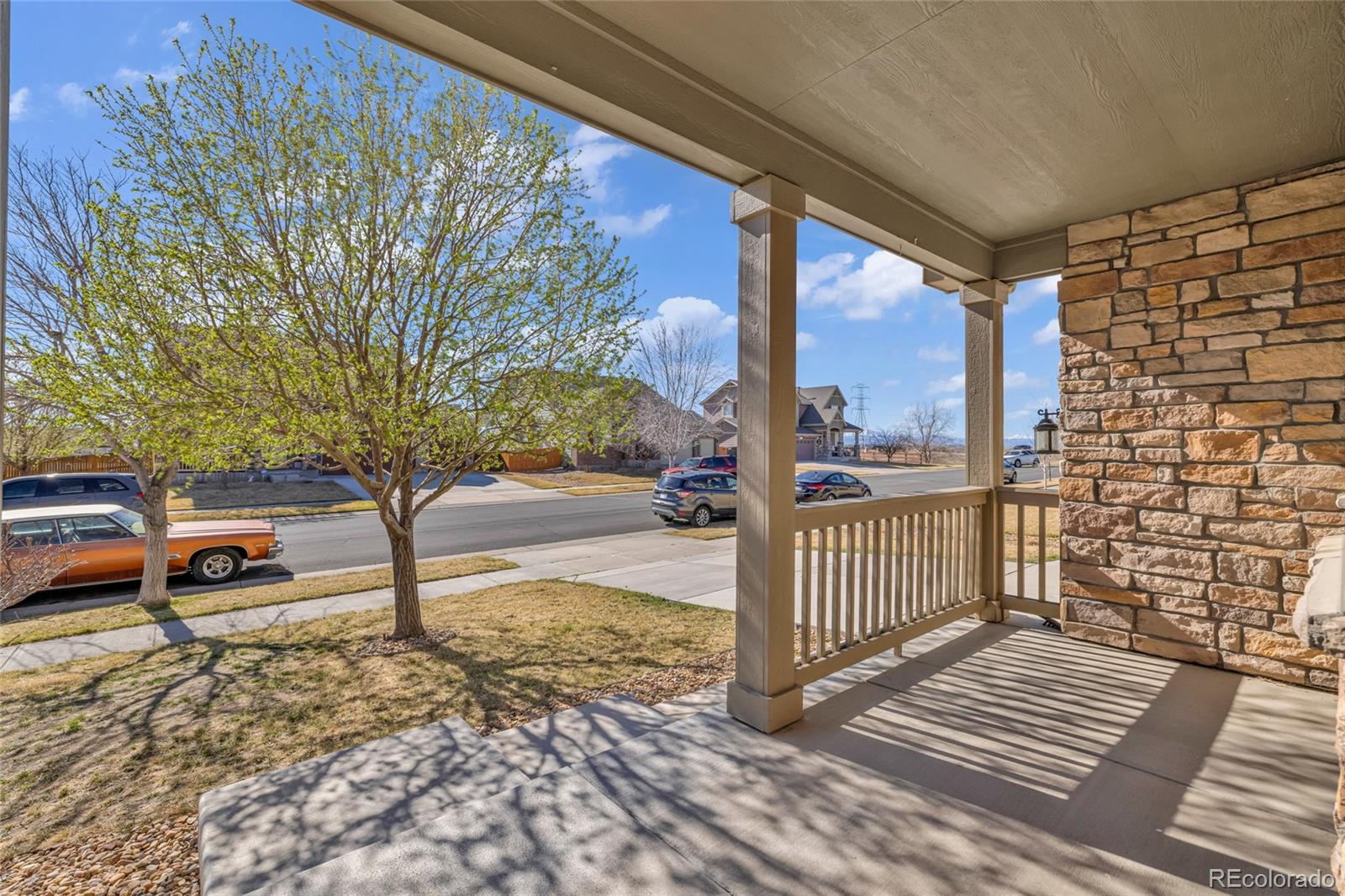 10284 Norfolk Street