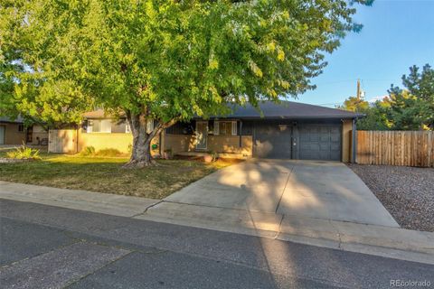 6022 Newcombe Court Arvada CO 80004