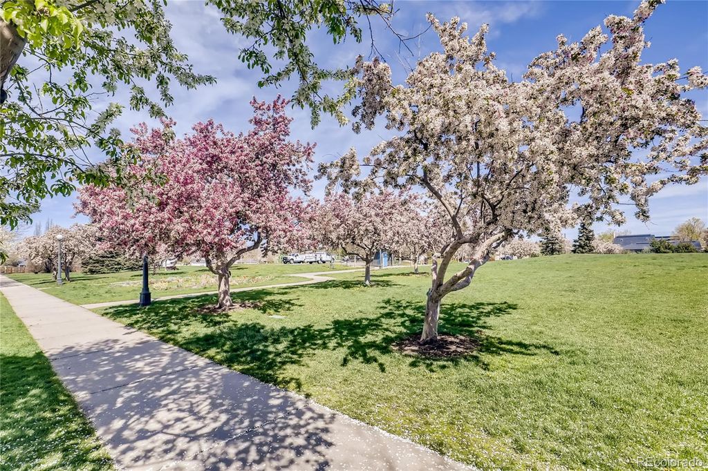 Photo of 1038 Jasmine Street, Denver, CO 80220 (MLS # 6387727)