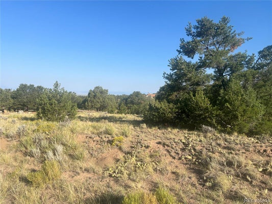 4292 FALLEN TREE OVERLOOK, CRESTONE, CO 81131 - Image 2f37b97bd081b82aa73f844eeeb90ca8/3650353088