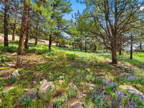 Unimproved Land in Arvada CO 7 Canyon Pines Drive 7.jpg